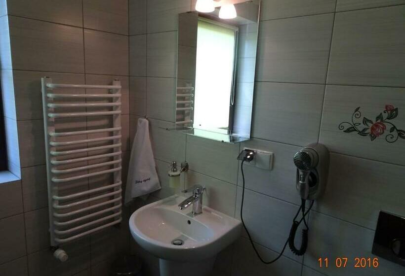 Номер Стандарт с Террасой, Willa Złoty Ogród