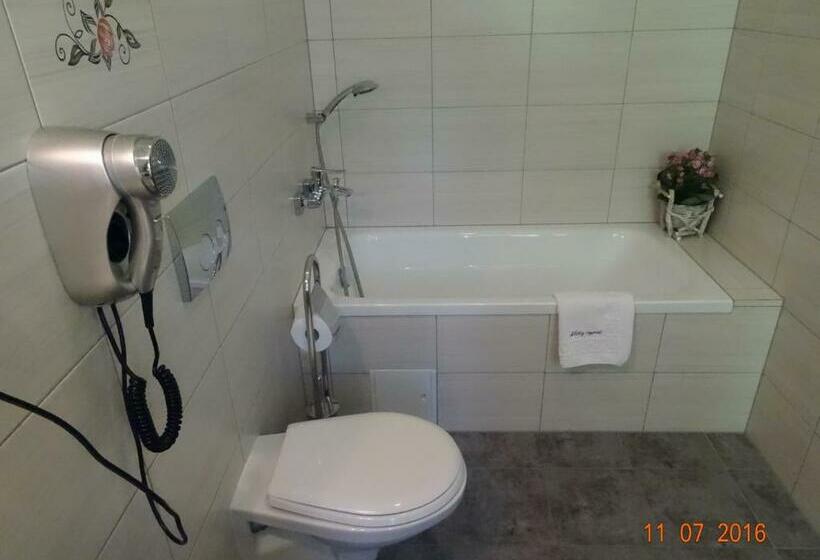 Номер Стандарт с Террасой, Willa Złoty Ogród