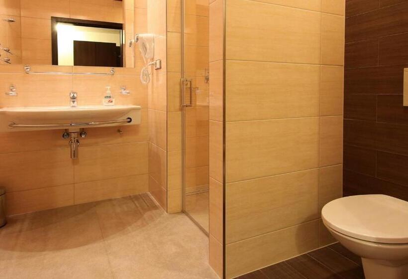 דירת חדר דלוקס, Pensjonat & Spa Raj