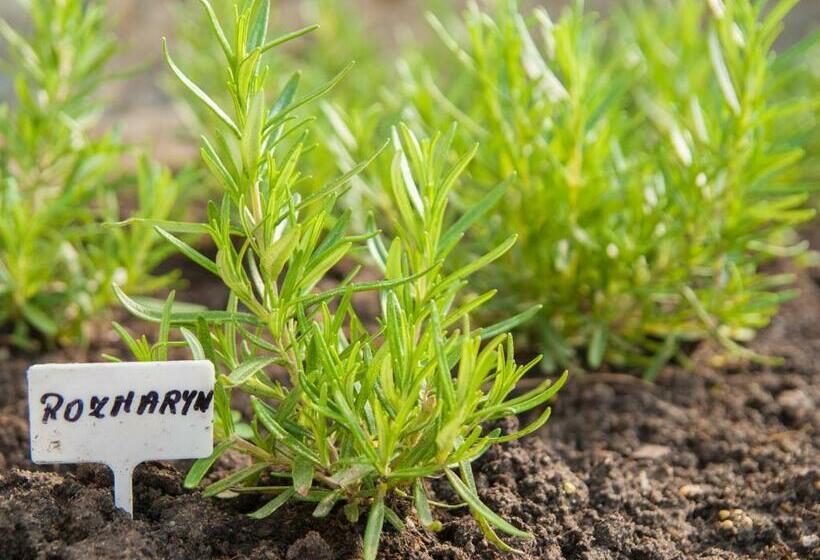 패밀리 룸, Pod Wzgórzem Bed & Breakfast