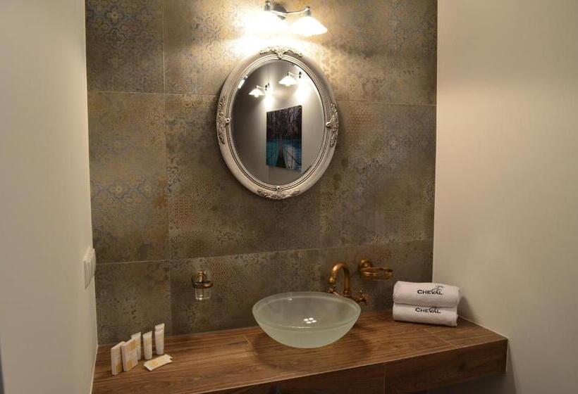 شقة ديلوكس غرفة واحدة, Apartamenty W Dworku Cheval