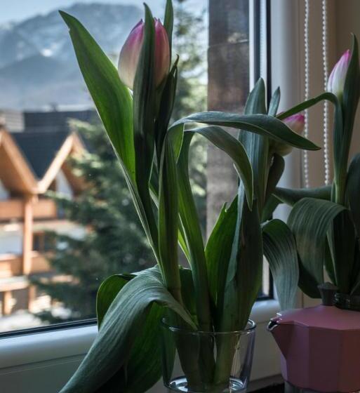 اتاق لوکس, 5 Kroków