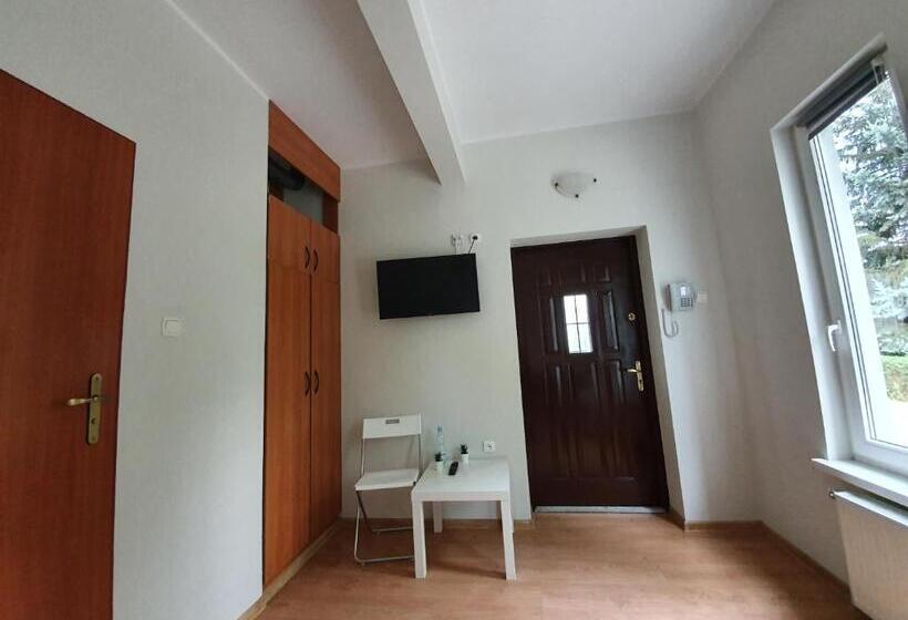 اتاق استاندارد یک نفره, Pensjonat Tężniowa 6