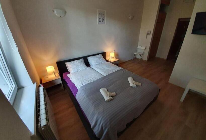 اتاق استاندارد با تخت بزرگ, Pensjonat Tężniowa 6