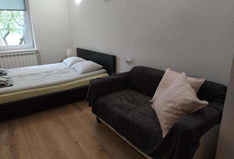 اتاق استاندارد با تخت بزرگ, Pensjonat Tężniowa 6