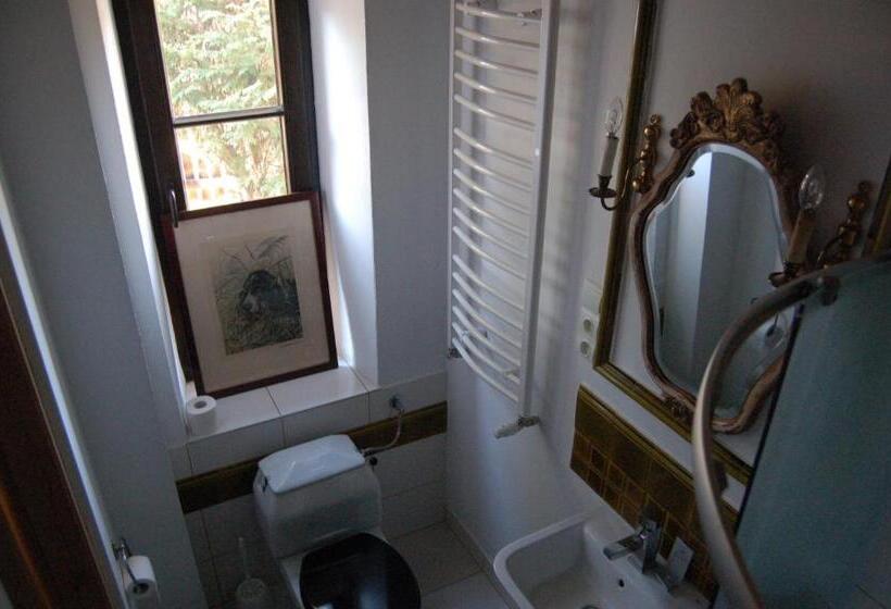 חדר סטנדרט יחיד, Stara Papiernia Zielony Lasek