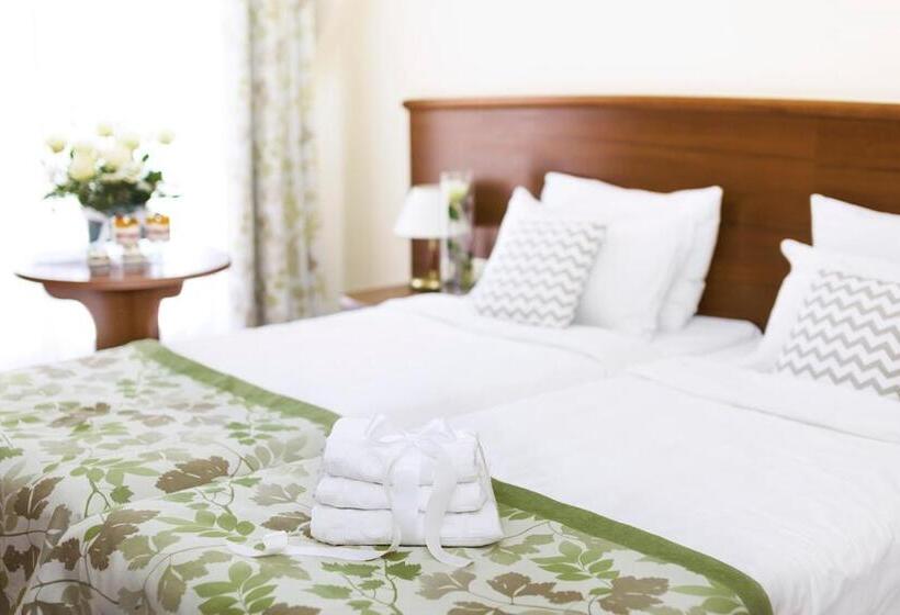 Номер Стандарт с Террасой, Barlinek