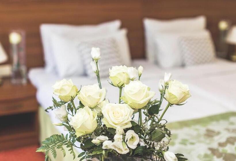 Номер Стандарт с Террасой, Barlinek