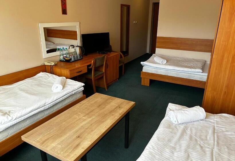 스탠다드 트리플 룸, Domino