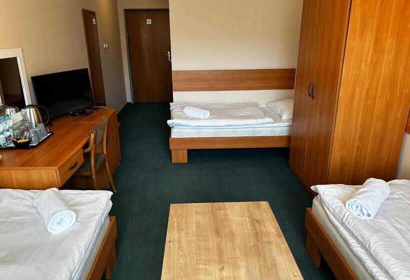 스탠다드 트리플 룸, Domino