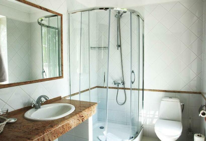 Номер Стандарт, Dwór Sieraków