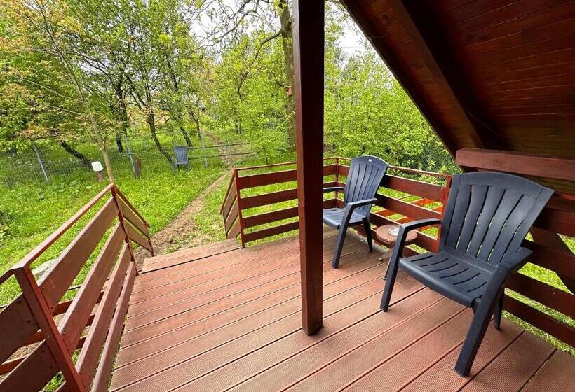 家庭间, Farma Albert Korzenie