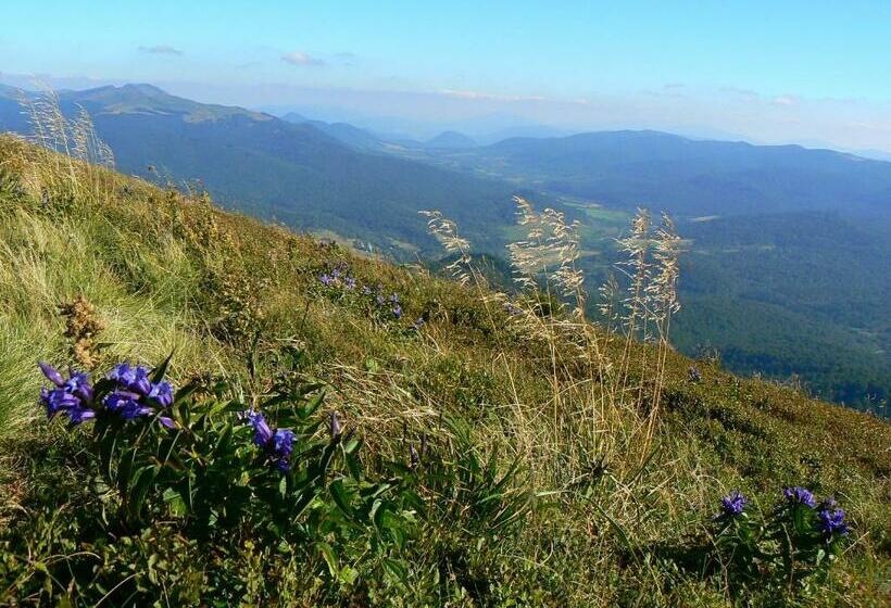 家庭工作室, Kwatera Studio Hoczew