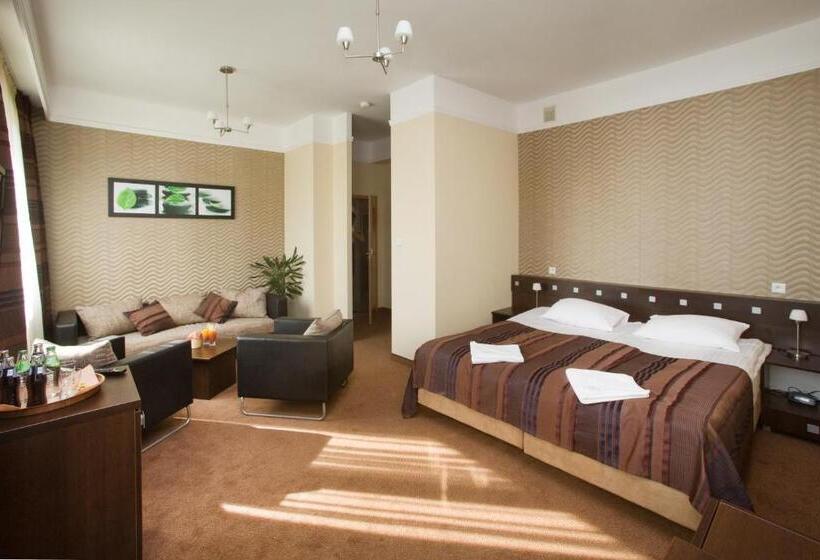 اتاق سوپریور, & Spa Odeon