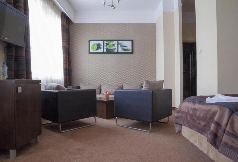 اتاق سوپریور, & Spa Odeon