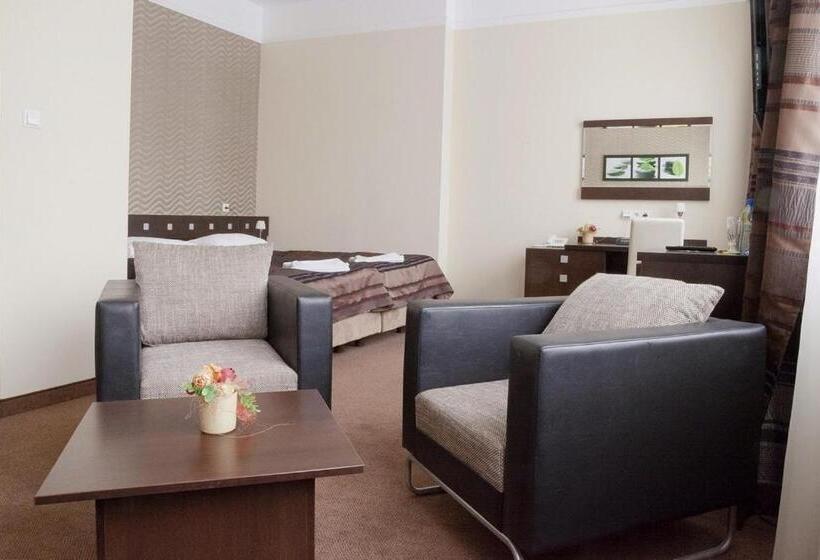 اتاق سوپریور, & Spa Odeon