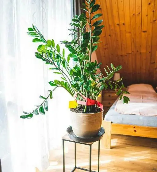 浴室共有スタンダード４人用ルーム, Jałowcówka Centrum Aktywności Psychoruchowej