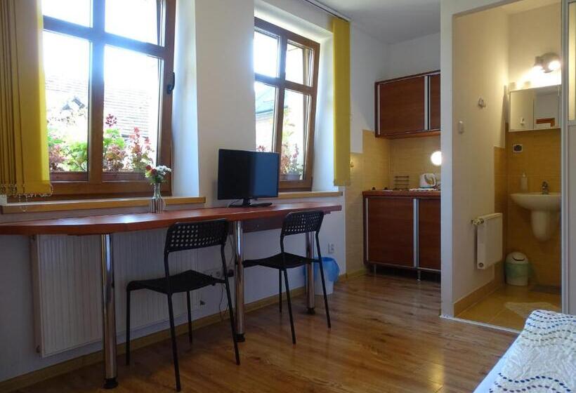 חדר סטנדרט יחיד, Noclegi Marek I Karolina