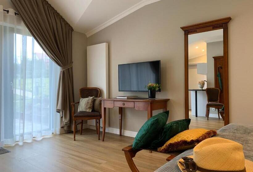 غرفة قياسية, Oasis Resort & Spa