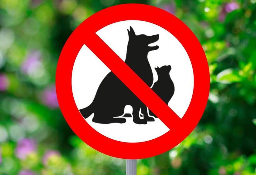 جناح إدارى, Oasis Resort & Spa