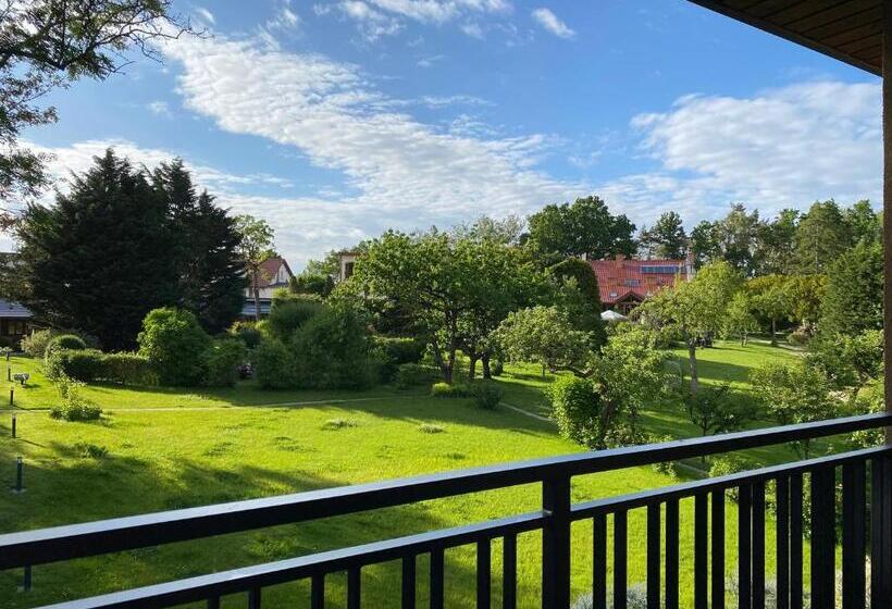 جناح إدارى, Oasis Resort & Spa