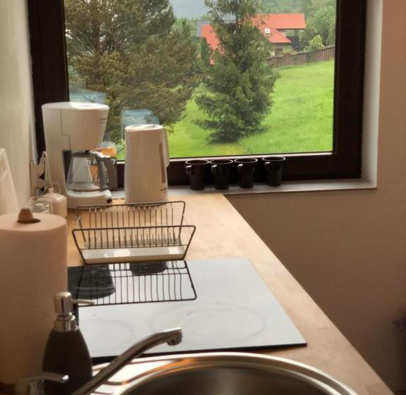 اتاق خانوادگی با چشمانداز کوه, Poncyljuszówka