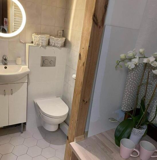 اتاق استاندارد با چشمانداز کوهستان, Poncyljuszówka