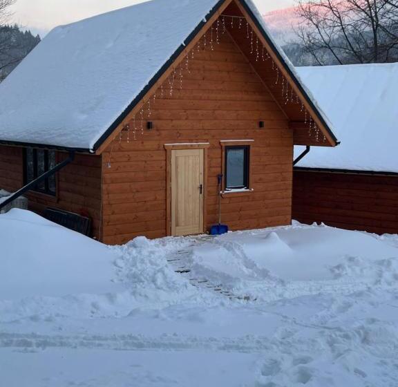 کلبه ییلاقی, Poncyljuszówka