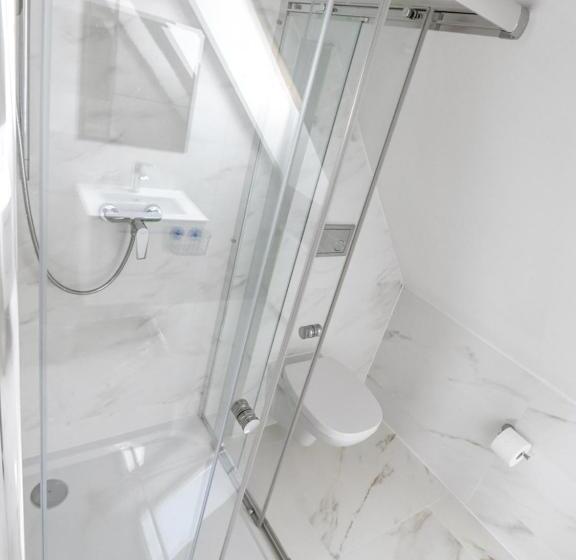 اتاق لوکس سه تخته, Willa Ważka