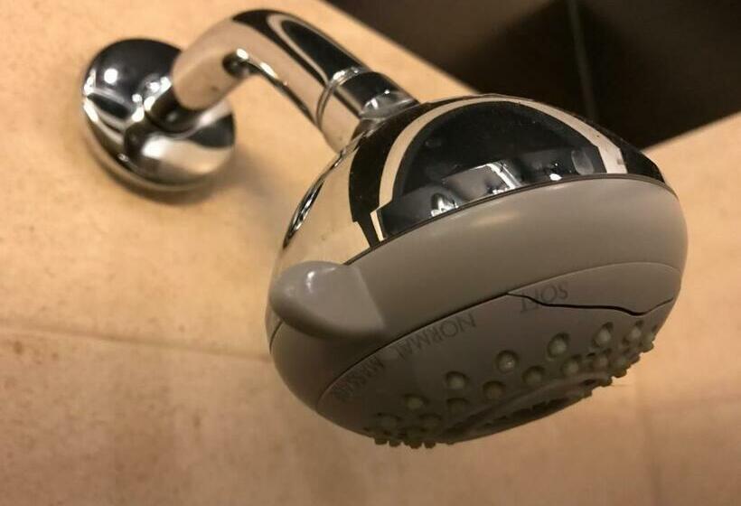 اتاق استاندارد با سرویس بهداشتی مشترک, Loft Car Factory