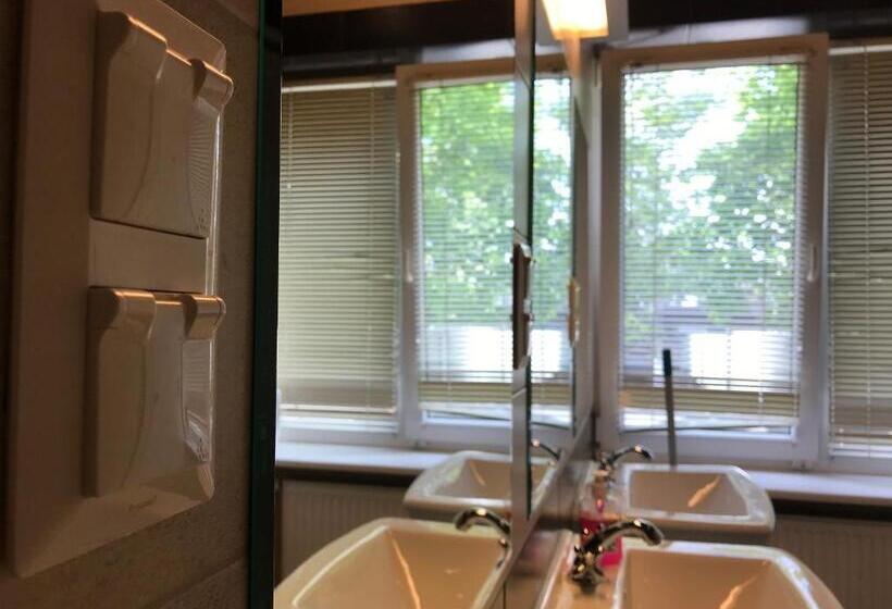 اتاق خانوادگی با سرویس بهداشتی مشترک, Loft Car Factory