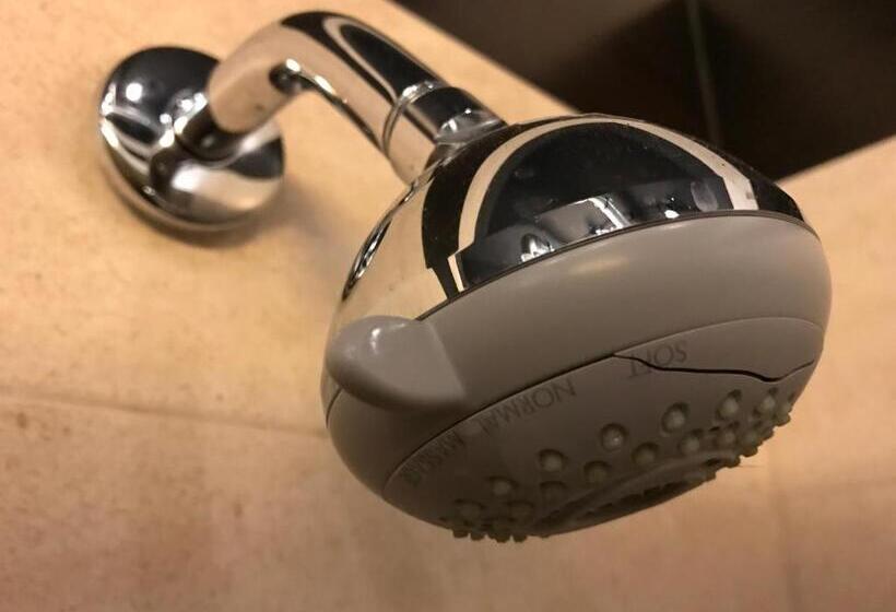 اتاق استاندارد چهارنفره با سرویس بهداشتی مشترک, Loft Car Factory