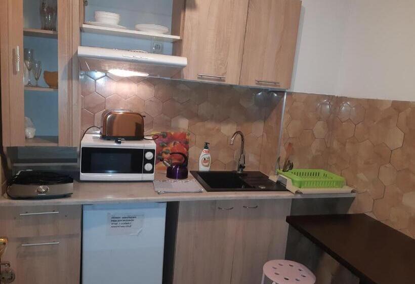 آپارتمان لوکس 1 خوابه, Apartamenty I Pokoje Gościnne Nowita