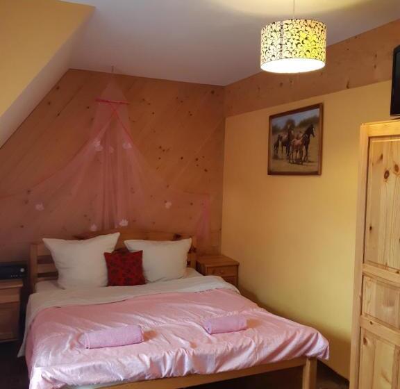 اتاق استاندارد با آشپزخانه, Apartamenty I Pokoje Gościnne Nowita