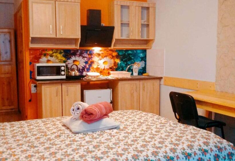 سوییت اجرایی, Apartamenty I Pokoje Gościnne Nowita