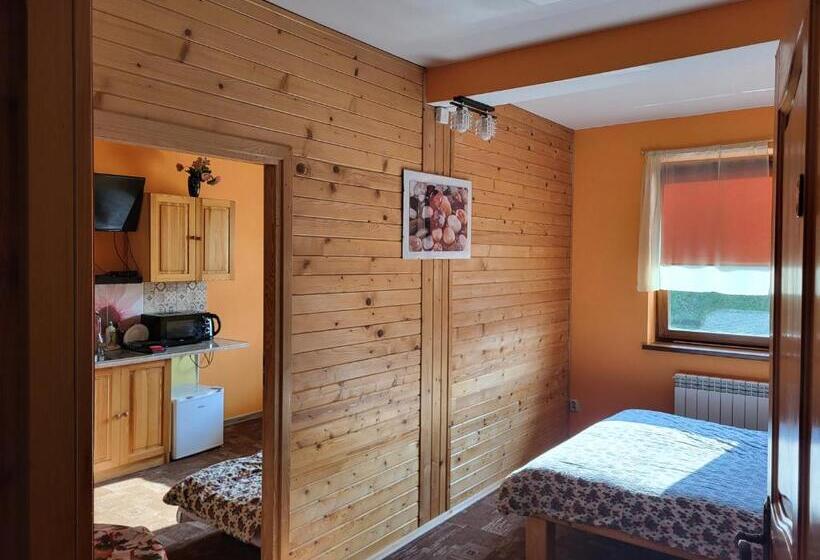 آپارتمان 2 خوابه, Apartamenty I Pokoje Gościnne Nowita