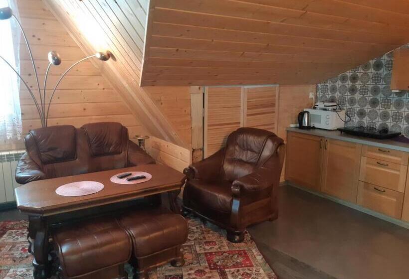 آپارتمان سوپریور 1 خوابه, Apartamenty I Pokoje Gościnne Nowita