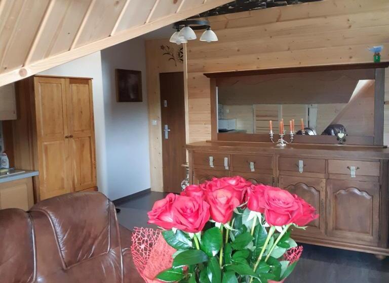 آپارتمان سوپریور 1 خوابه, Apartamenty I Pokoje Gościnne Nowita