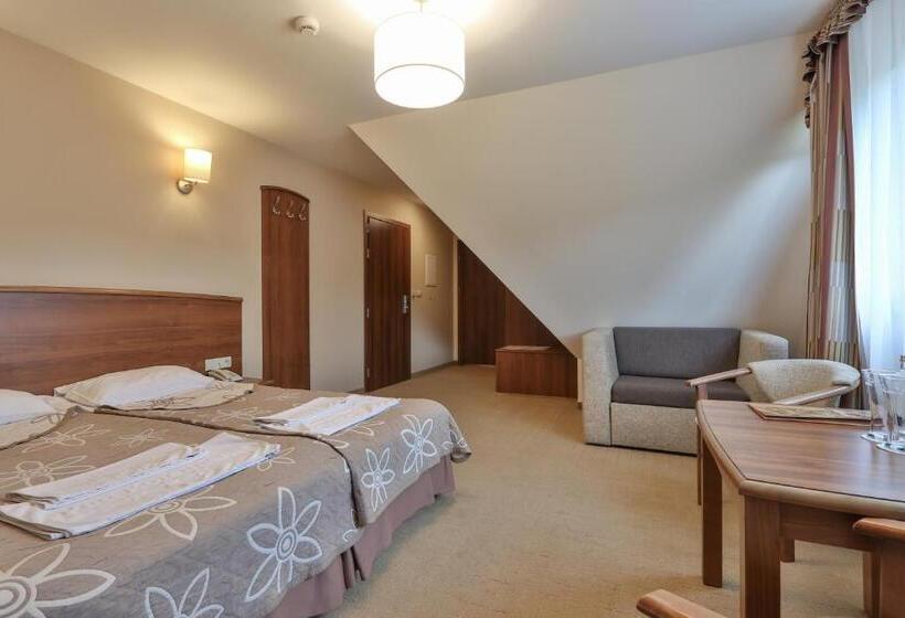 اتاق استاندارد, Pensjonat Pod Kotelnicą