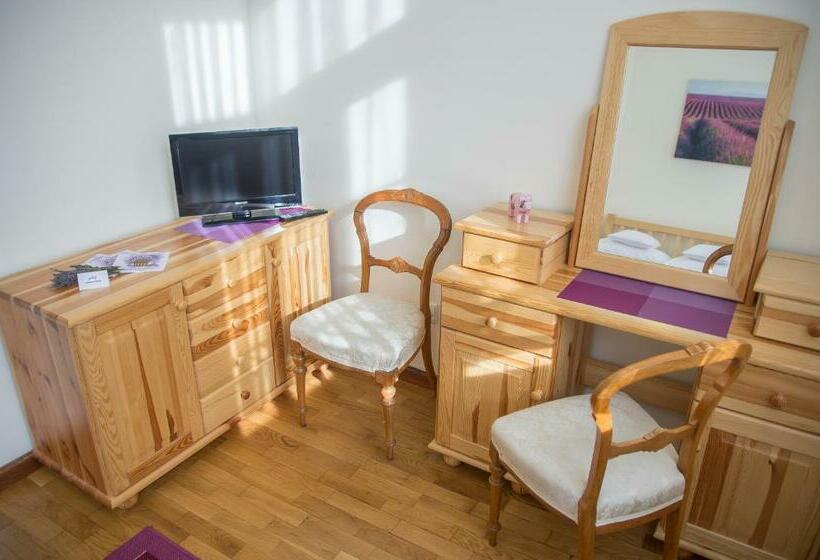 Номер Стандарт, Szwajcarka