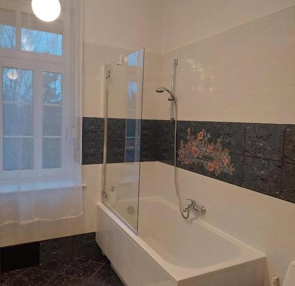 Апартаменты 1 Спальня с Террасой, Szwajcarka