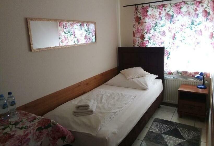 اتاق استاندارد یک نفره, Villa Minerva