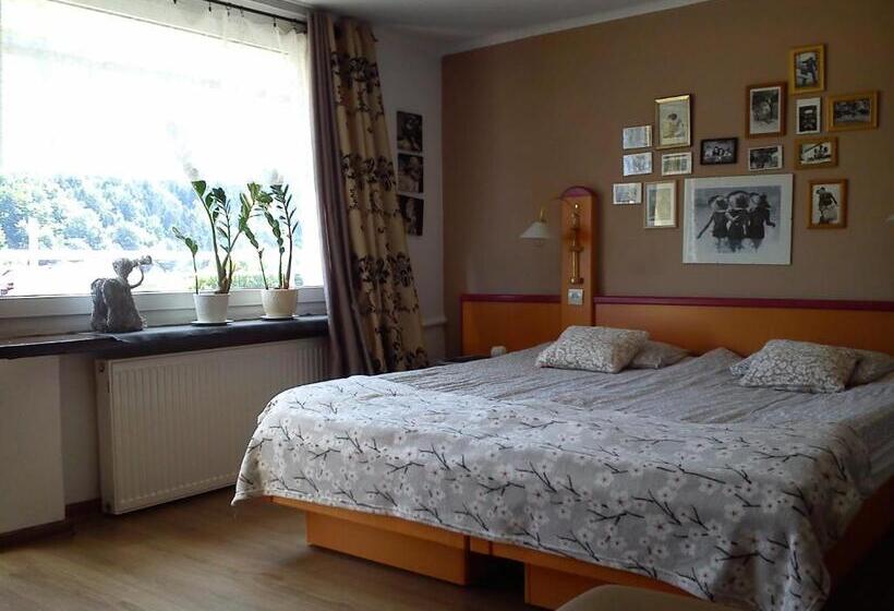 اتاق خانوادگی با چشمانداز کوه, Willa Pod Aniołem