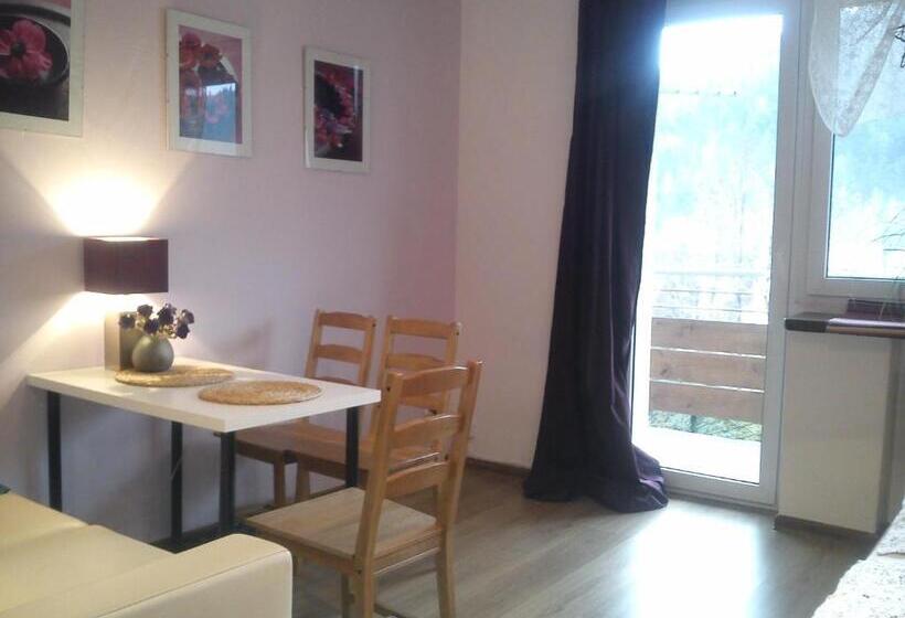 اتاق خانوادگی با چشمانداز کوه, Willa Pod Aniołem