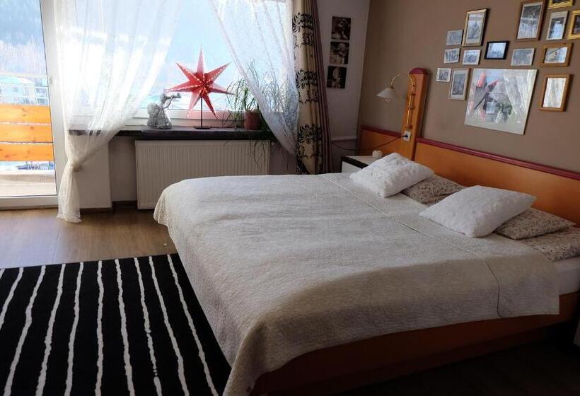 اتاق خانوادگی با چشمانداز کوه, Willa Pod Aniołem