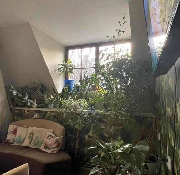 اتاق استاندارد یک نفره, Hostel Universus