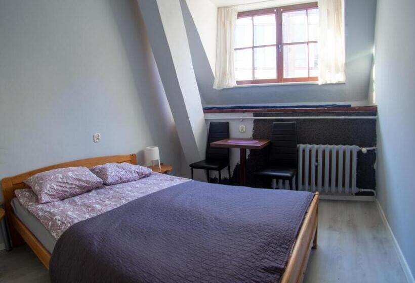 اتاق استاندارد با تخت بزرگ, Hostel Universus