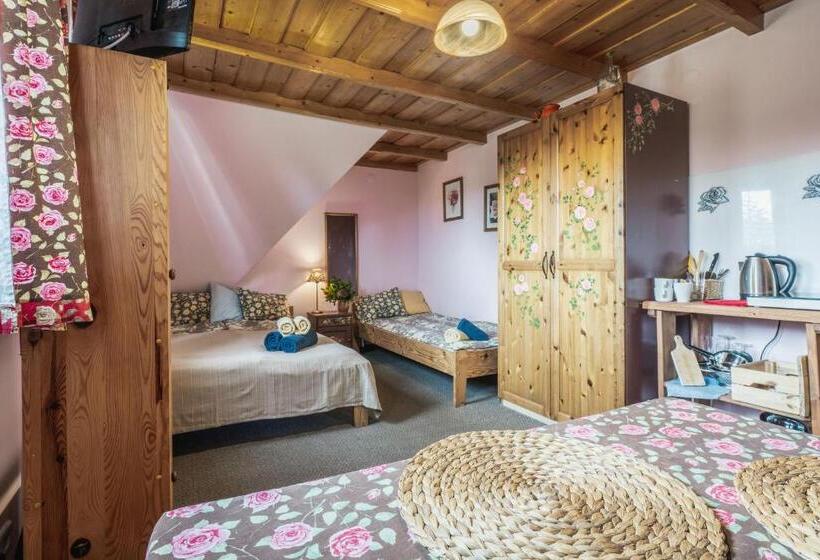 Standard-huone, Nasza Chata - Pokoje I Apartamenty