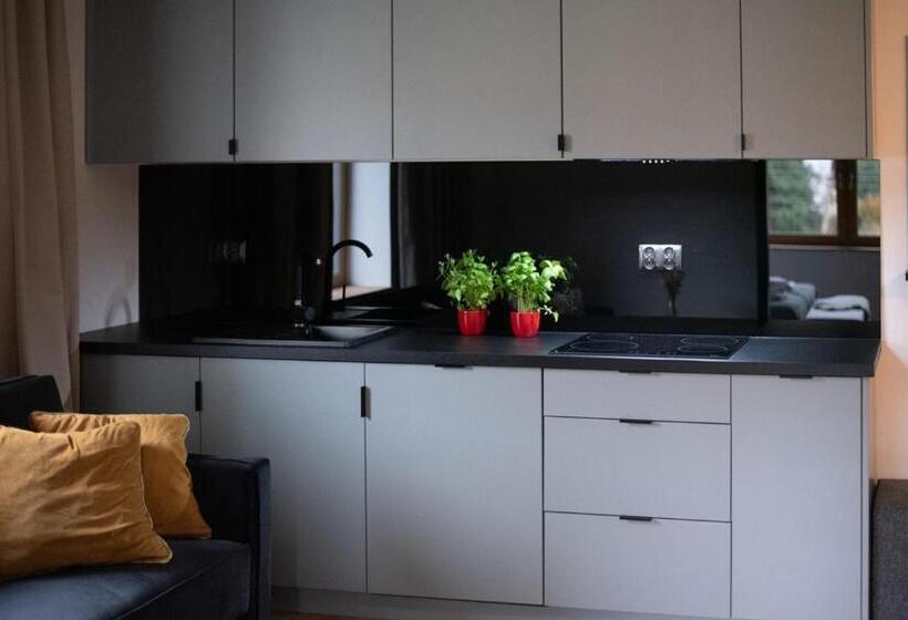 آپارتمان لوکس 1 خوابه, Willa 74 Wisła