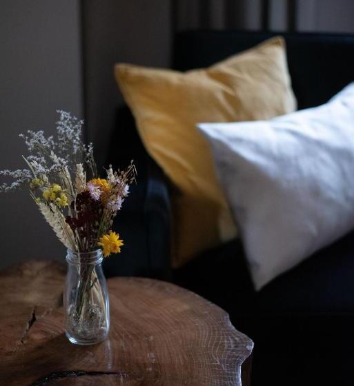 آپارتمان لوکس 1 خوابه, Willa 74 Wisła